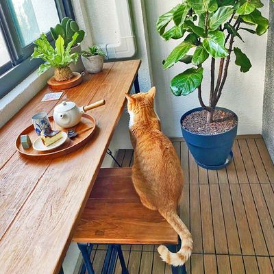 Chapas de terraço de madeira versátil Quadrado à prova d'água para uso externo